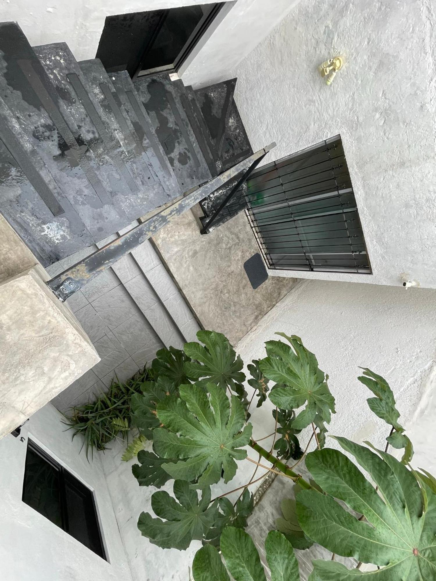 Casa Y Departamentos Lavanda Mérida Dış mekan fotoğraf
